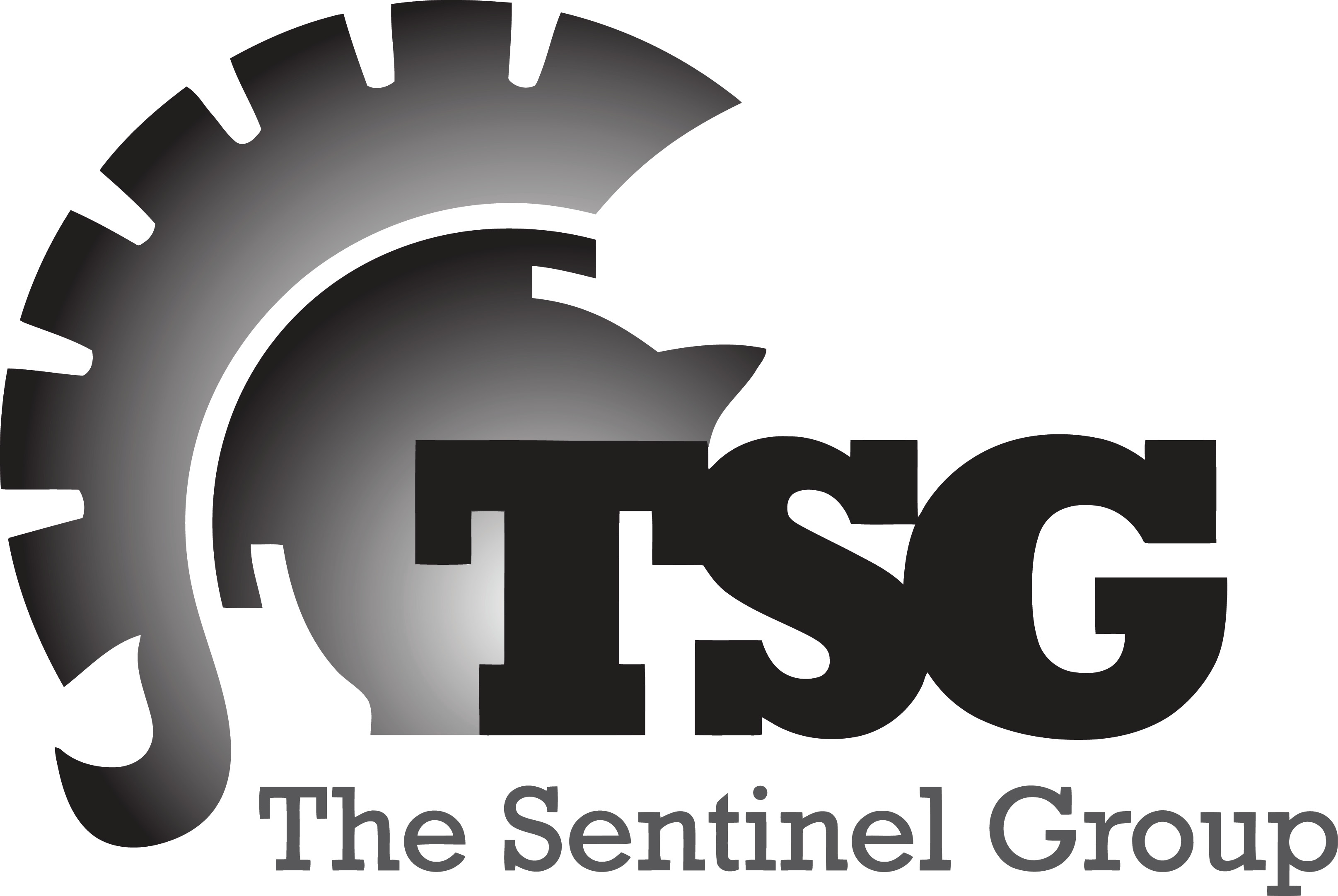 The Seninel Group logo
